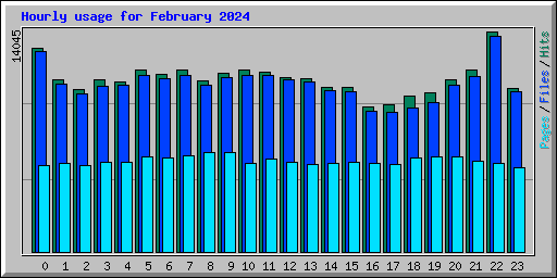 Hourly usage for February 2024