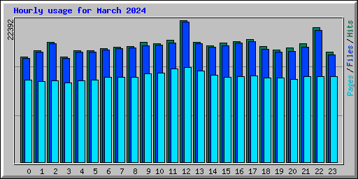 Hourly usage for March 2024