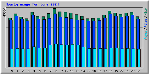Hourly usage for June 2024