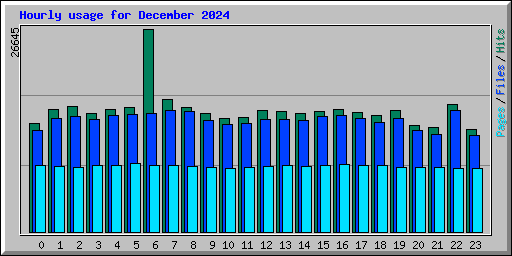 Hourly usage for December 2024