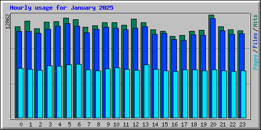 Hourly usage for January 2025