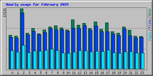 Hourly usage for February 2025
