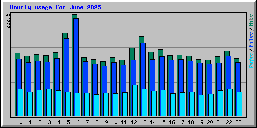 Hourly usage for June 2025