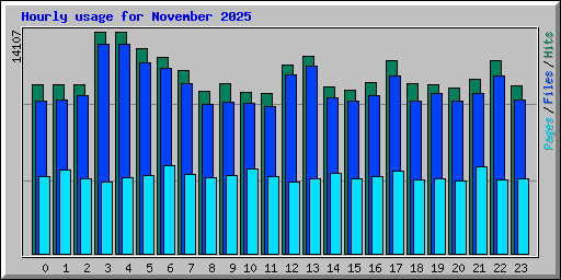 Hourly usage for November 2025
