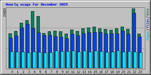 Hourly usage for December 2025