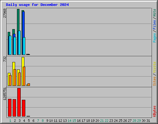 Daily usage for December 2024