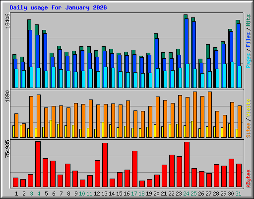 Daily usage for January 2026