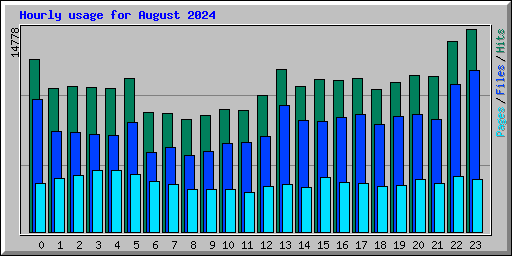 Hourly usage for August 2024