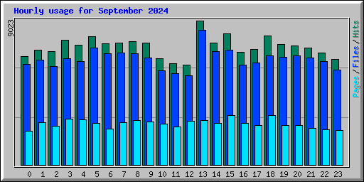 Hourly usage for September 2024