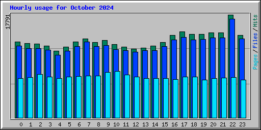 Hourly usage for October 2024