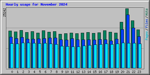 Hourly usage for November 2024