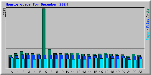 Hourly usage for December 2024