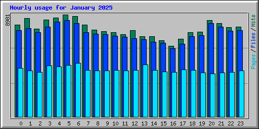 Hourly usage for January 2025