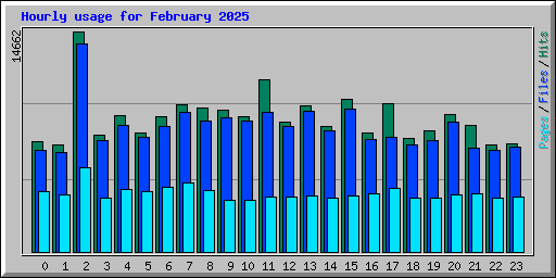 Hourly usage for February 2025