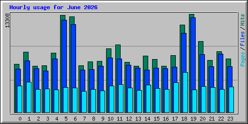 Hourly usage for June 2026