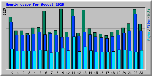 Hourly usage for August 2026