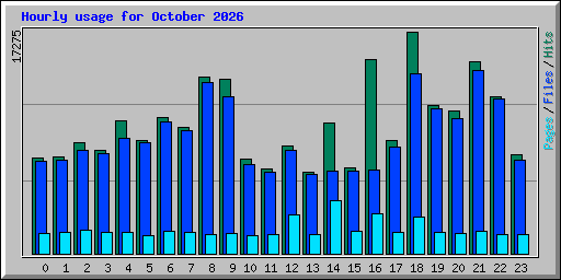 Hourly usage for October 2026